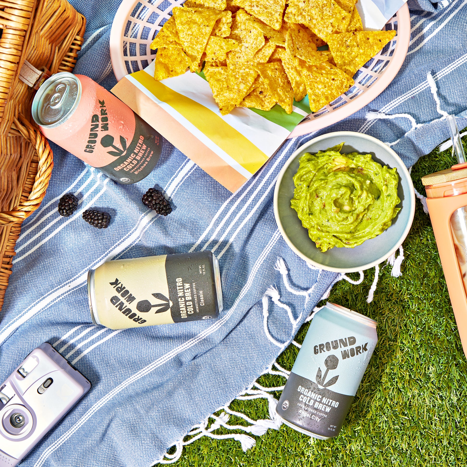 A picnic scene with Groundwork Coffee Co Organic Classic Nitro Cold Brew, guacamole, tortilla chips, blackberries, a camera, and a striped cloth on grass.
